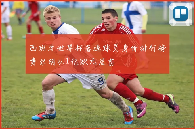 西班牙世界杯落选球员身价排行榜费尔明以1亿欧元居首